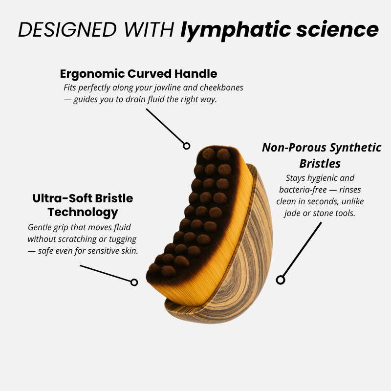 Lymphatic Contour Brush